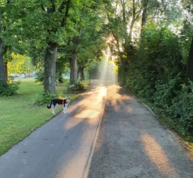 Dr.-Ferdinand-David-Park – Bild 6