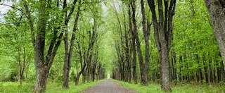 Parc Lauzon – Bild 4