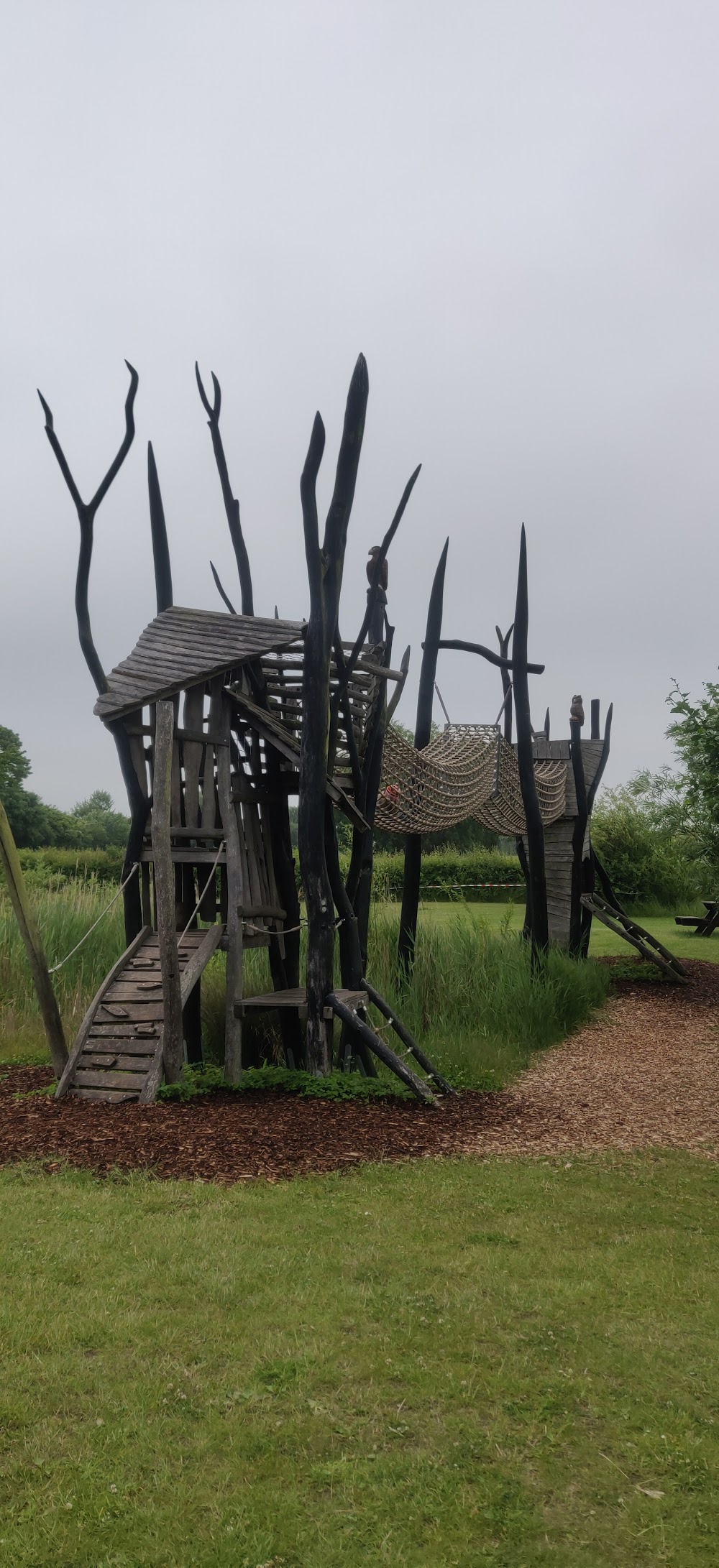 Maislabyrinth Sieversdorf – Bild 4