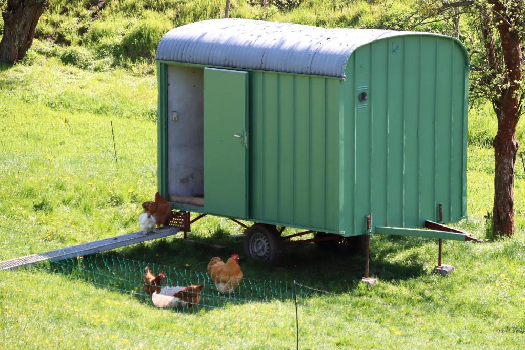 Ferienwohnung Bauernhof, Sächsische Schweiz „Adlerhof“ – Bild 2