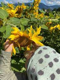 Naturkita Chinderland Bleichenberg Biberist – Bild 4