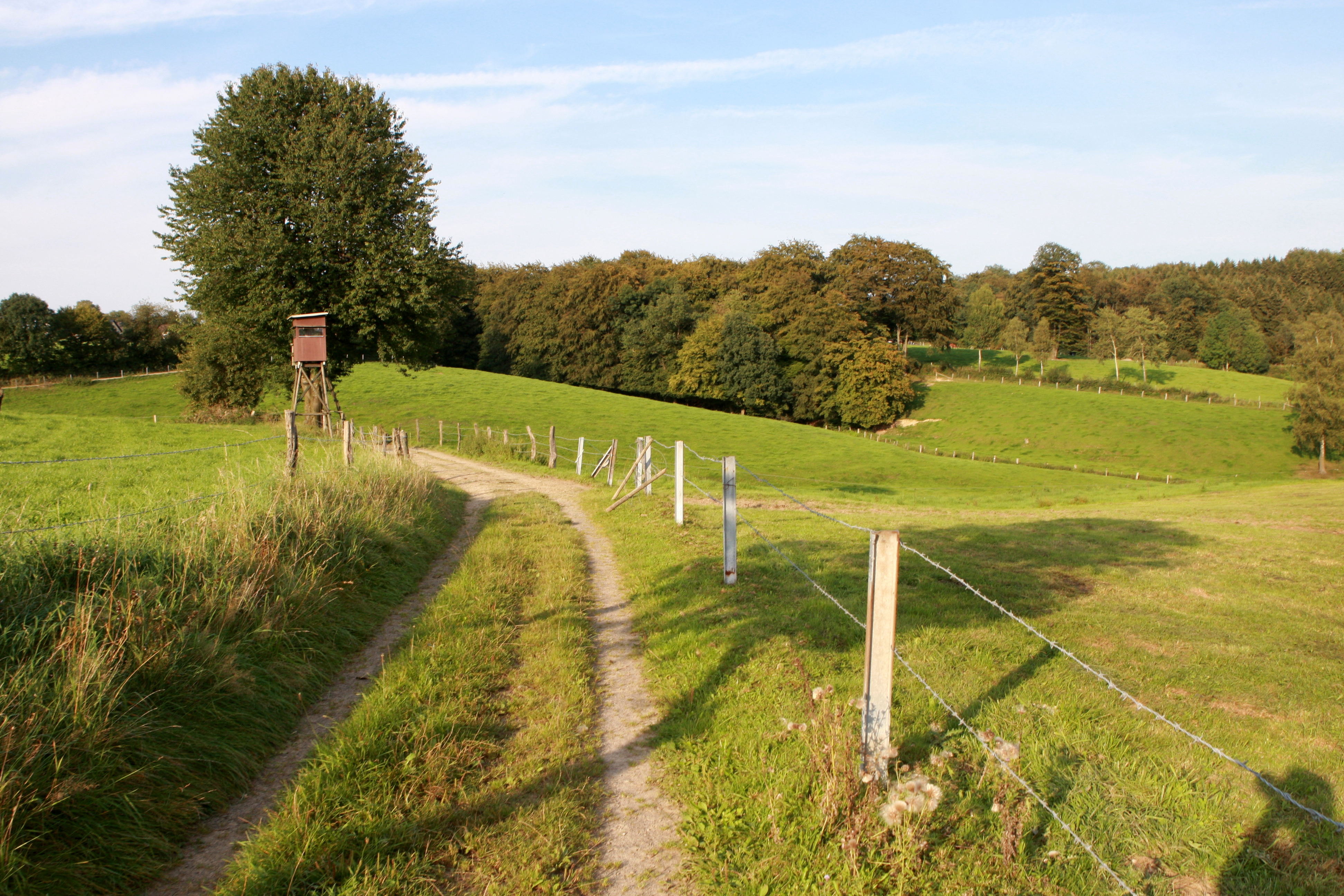 Hof Miebach – Bild 4