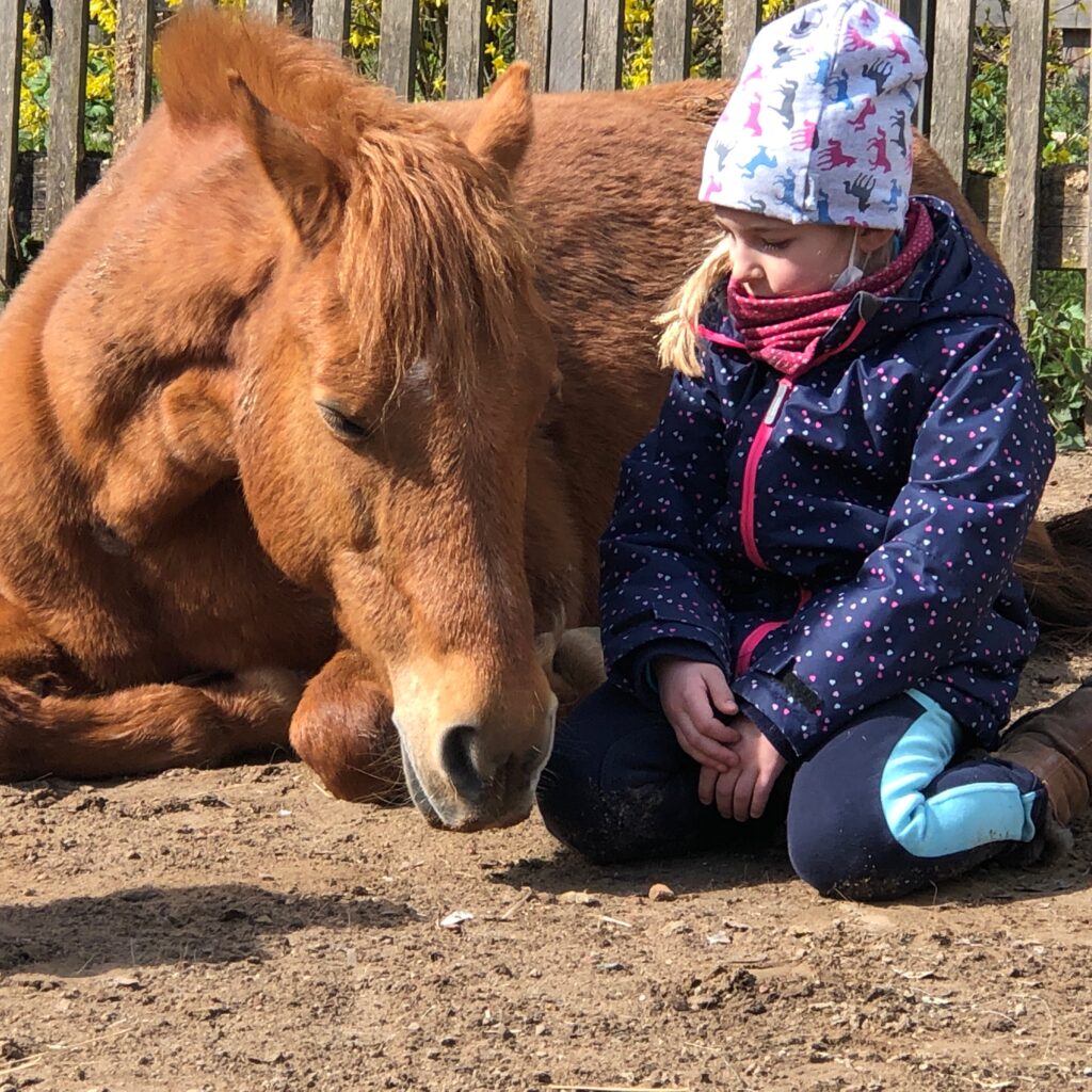 Ponyhof Oberwaldhaus – Bild 2