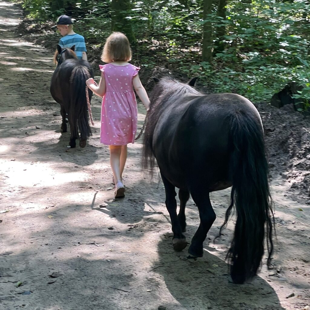 Ponyhof Oberwaldhaus – Bild 4