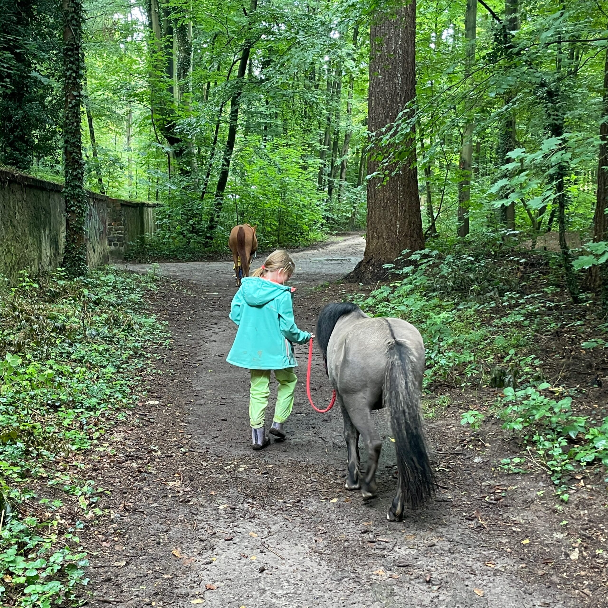 Ponyhof Oberwaldhaus – Bild 6