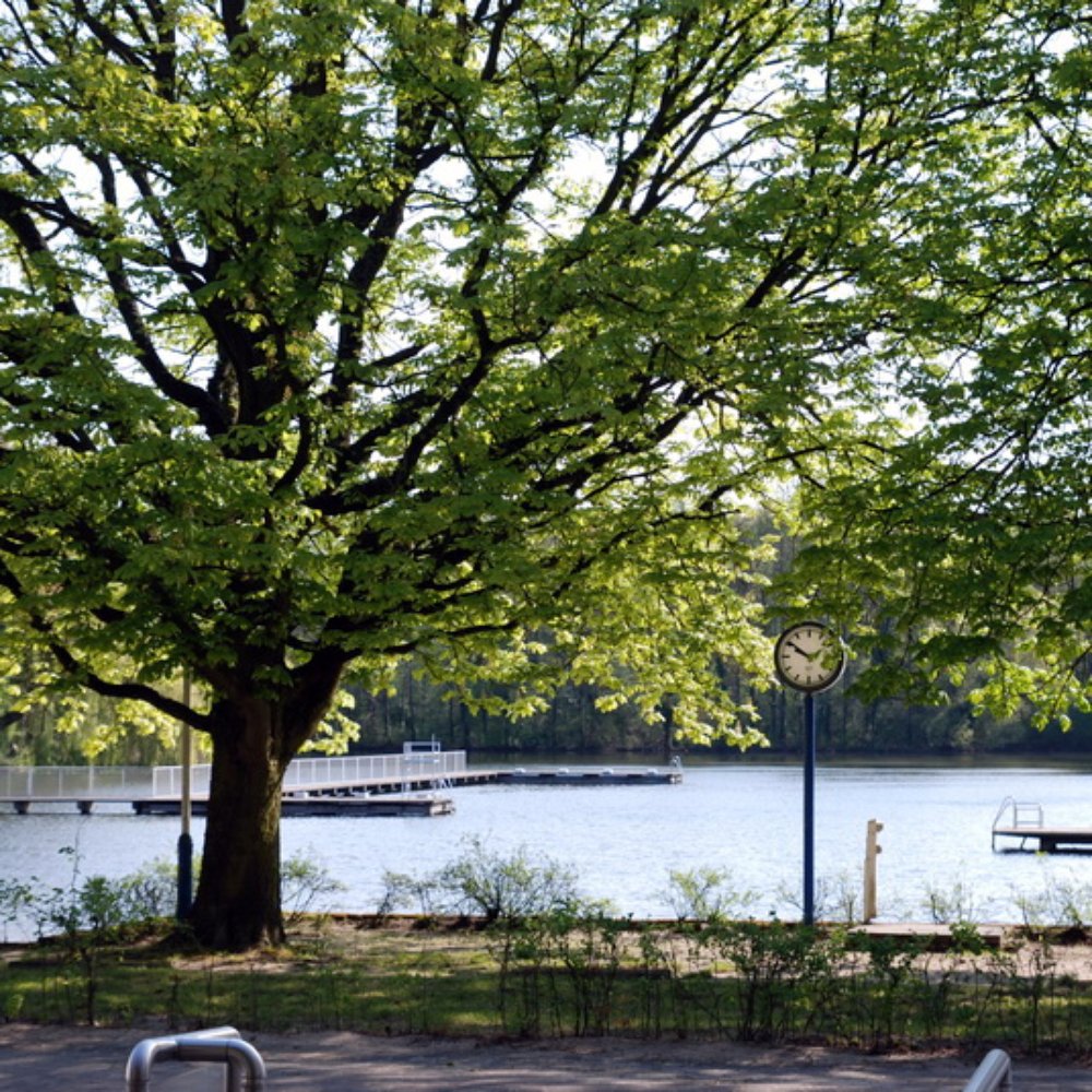 Volkspark Jungfernheide – Bild 3