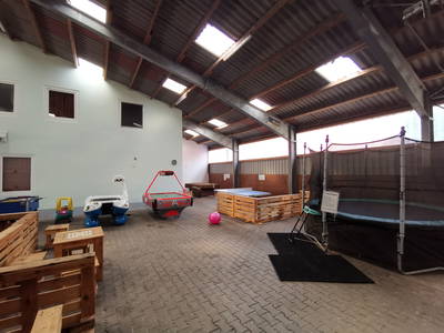 Ponyhof Goldenstein Neuschoo – Bild 5