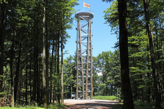 Wald- und Erlebnispfad Bächlewald – Bild 3