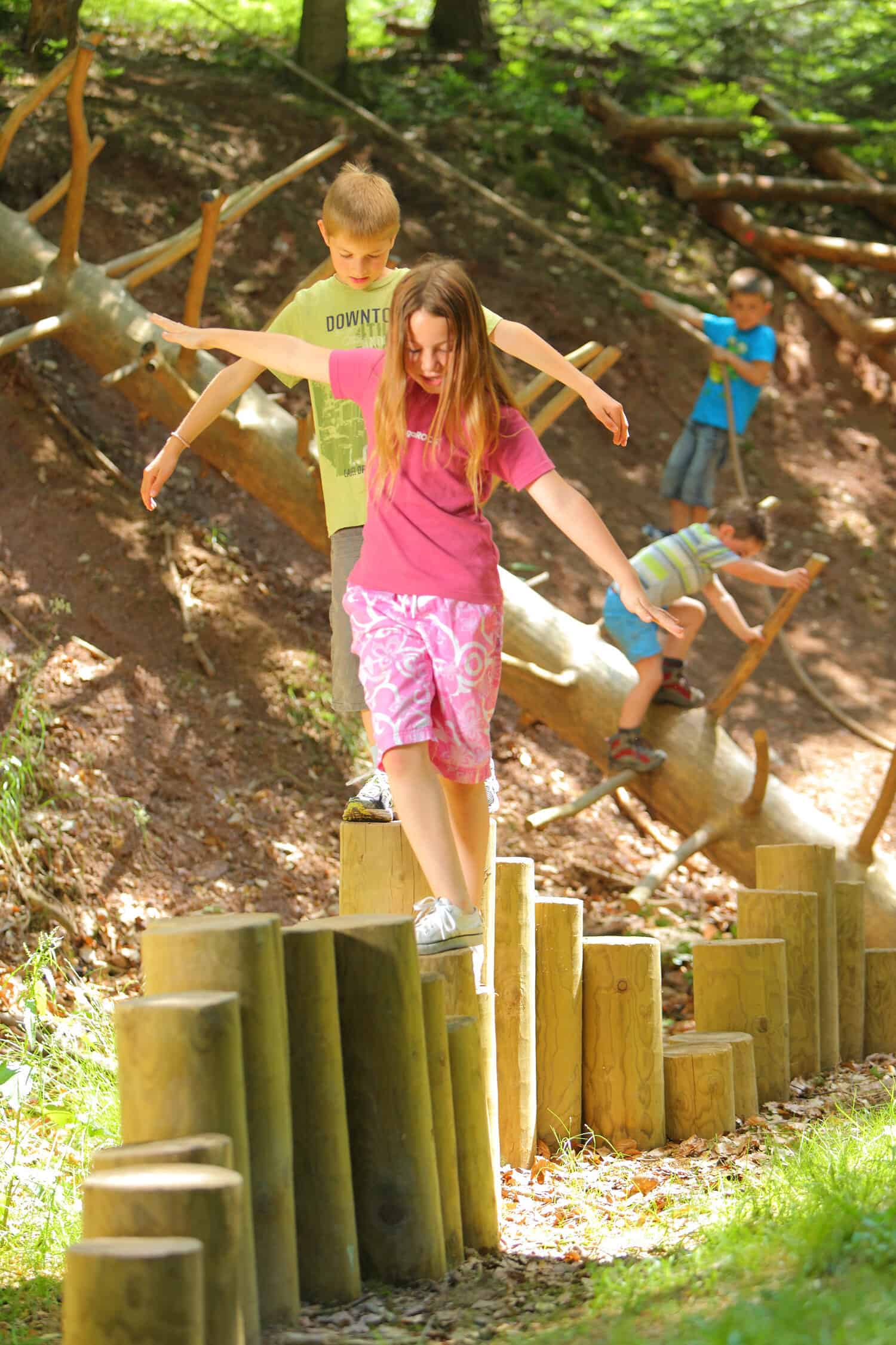 Wald- und Erlebnispfad Bächlewald – Bild 5