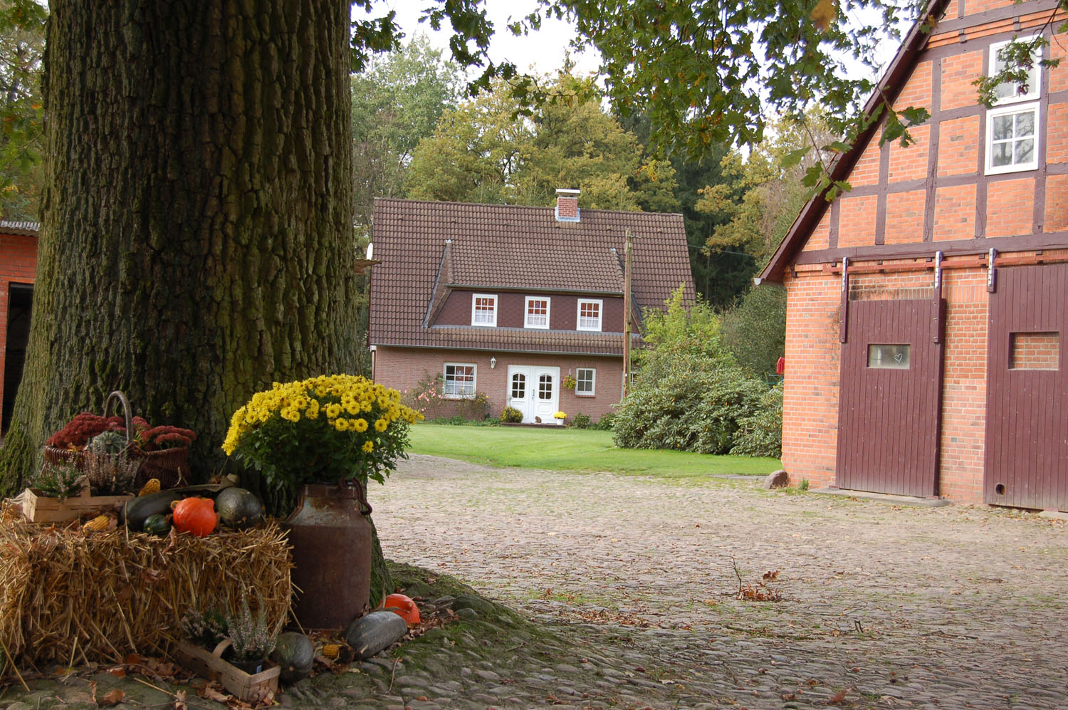 Pension Brandt – Bild 2