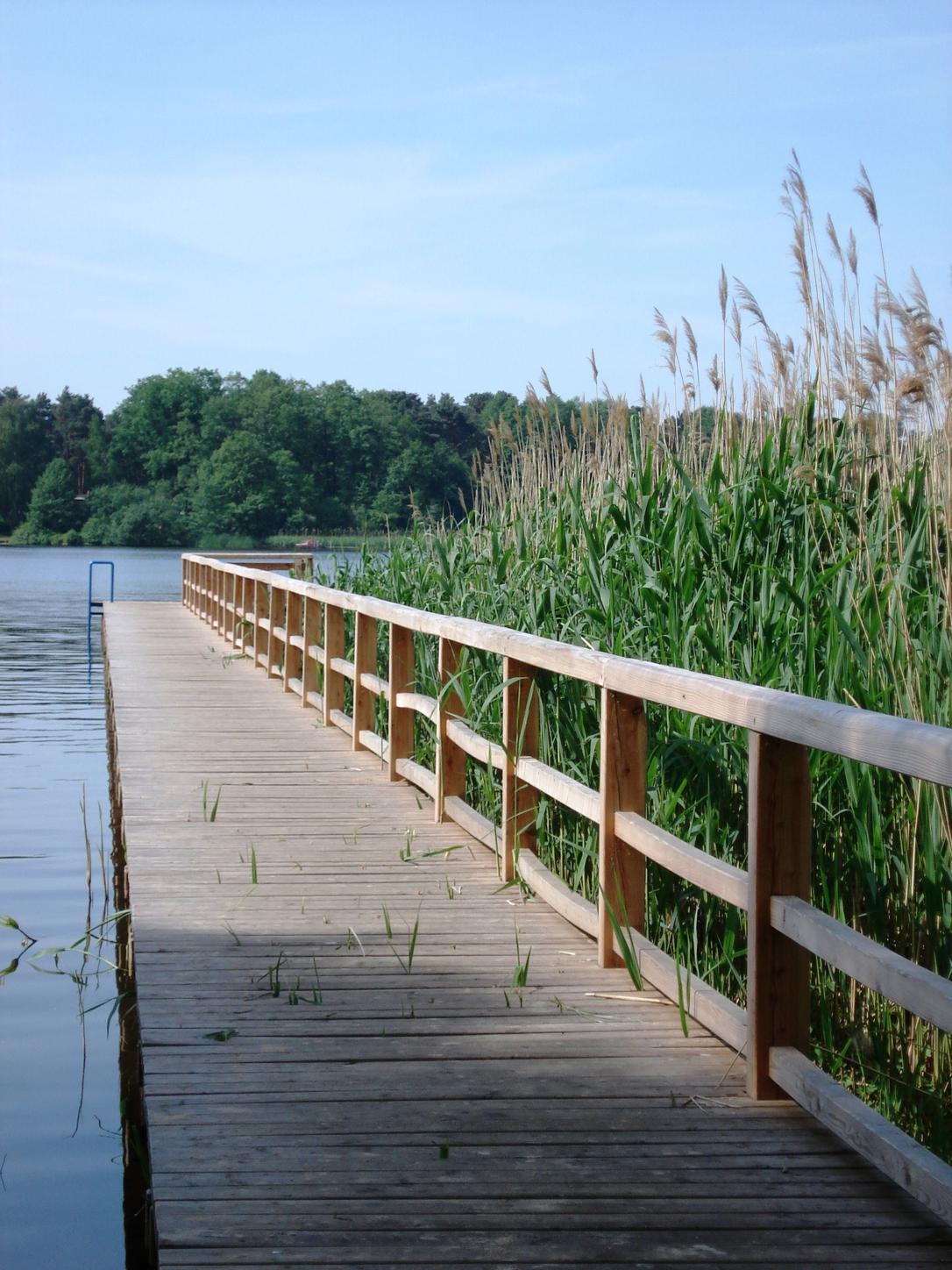 Kablow Trift - Badestelle – Bild 1