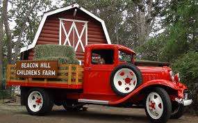 Beacon Hill Children's Farm – Bild 2