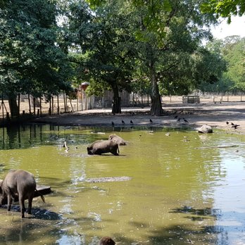 Wildgehege Karlstern – Bild 5