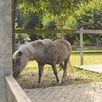 Tiergehege im Herminghauspark – Bild 4