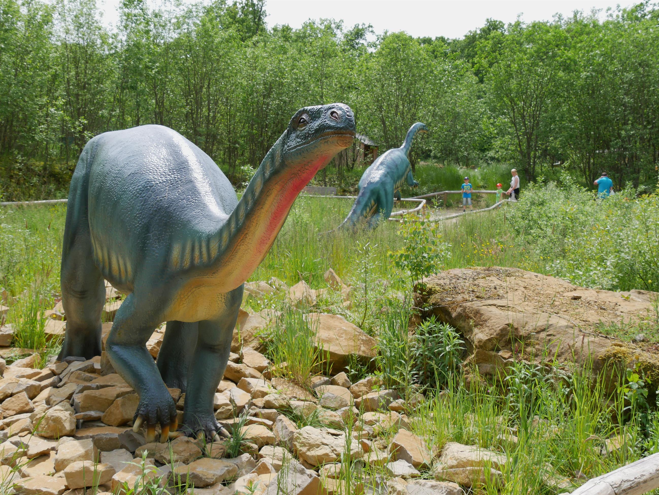 Dinosaurierpark Teufelsschlucht – Bild 2