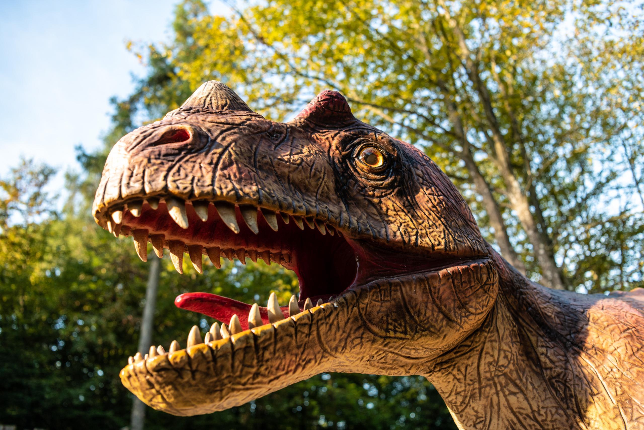 Dinosaurierpark Teufelsschlucht – Bild 4