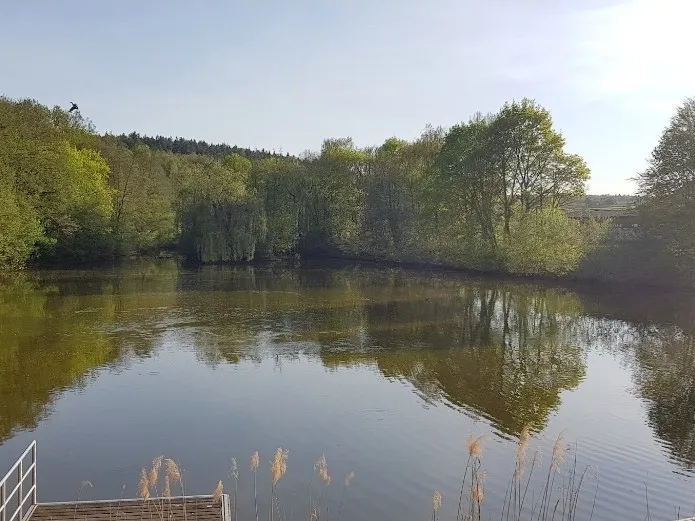 Sylvanersee Bamberg – Bild 2