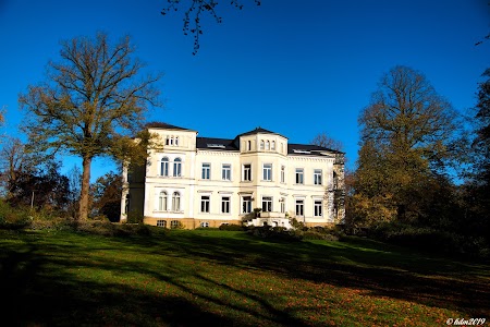 Cirencester Park – Bild 3