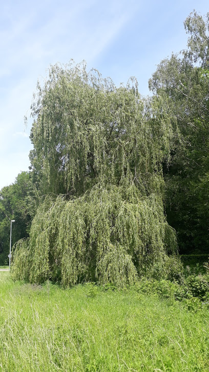 Förstlespark – Bild 4