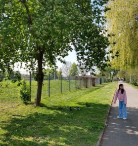 Förstlespark – Bild 5