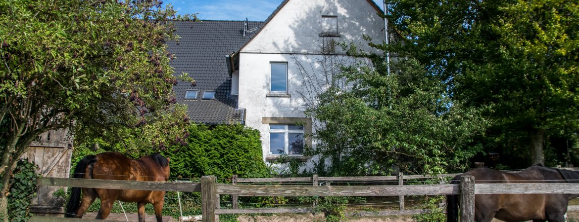 Ferienwohnung & Reiterhof Kahre Bonneberg – Bild 3