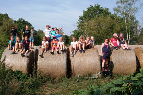 Reit- und Kinderbauernhof Krasselt – Bild 5