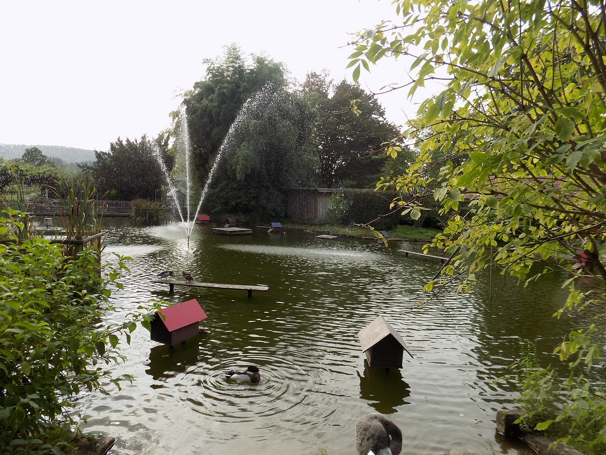 Parkplatz Schneckenmatt P1 – Bild 6