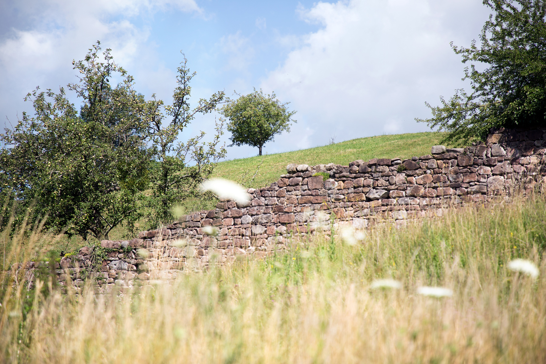 Landelins Garten – Bild 2