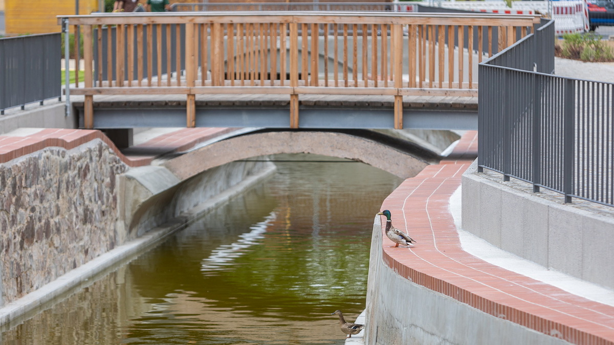 Mühlenpark – Bild 2