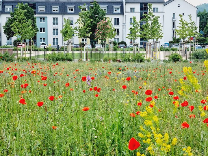 Mühlenpark – Bild 3