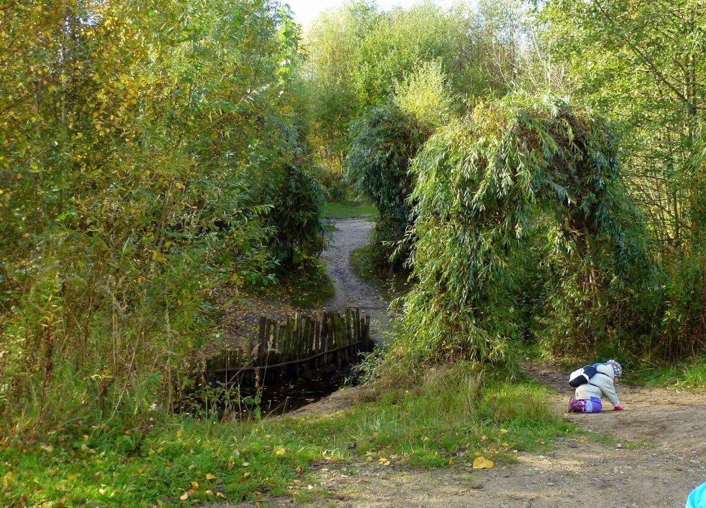 Kinderwald Hannover – Bild 3