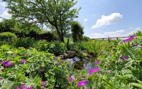 Anitas Landerlebnis – Bild 5