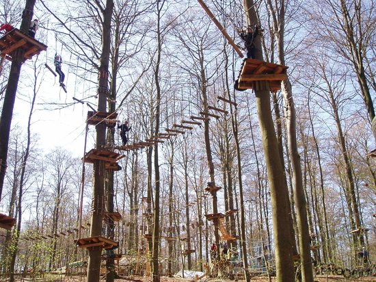 Hochseilgarten Altenhof – Bild 2