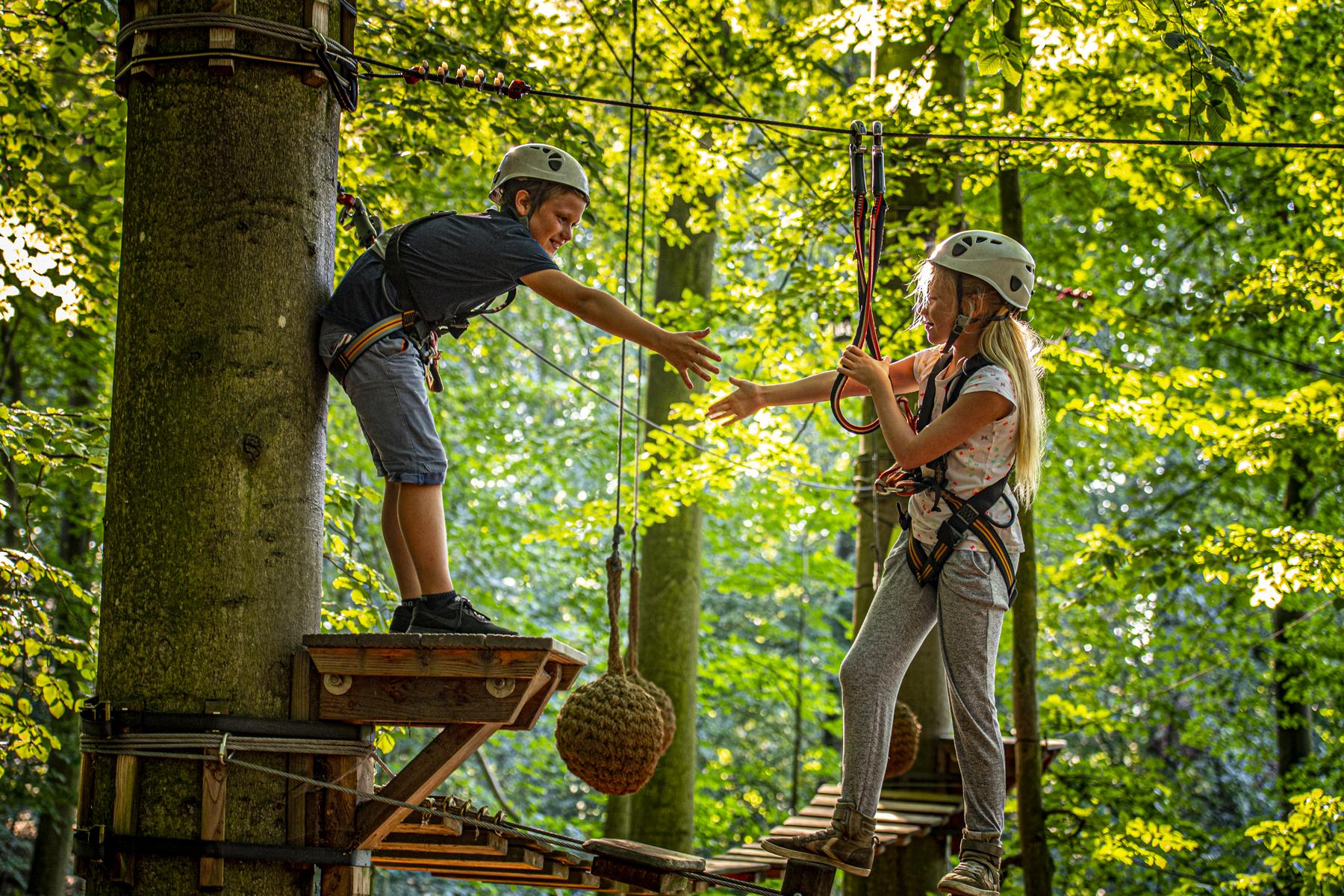 Hochseilgarten Altenhof – Bild 5